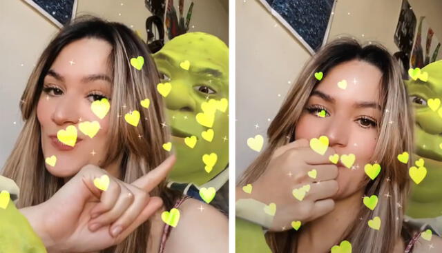 En Instagram, una mujer decidió filmarse 'al lado' del conocido ogro verde. Foto: captura de Instagram