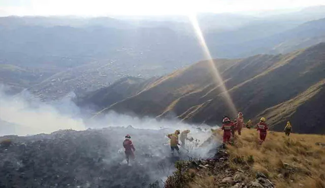 Daños. Incendios arrasaron más de 14 mil hectáreas.