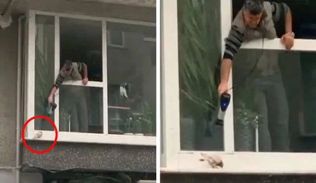 Un hombre hizo todo lo posible para ayudar a un ave que terminó empapada y temblando en los exteriores de su casa, debido a que sufrió por unas fuertes lluvias. Foto: captura de YouTube