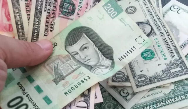 Revisa el precio del dólar hoy, miércoles 27 de octubre de 2021, en México para la compra y venta en los principales bancos del país.