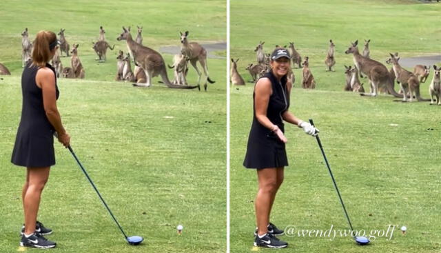 Una jugadora de golf es sorprendida por un grupo de canguros en Australia. Foto: captura de Instagram / @wendywoo.golf