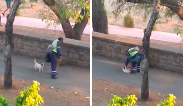 Un perrito se despierta por las mañanas para acompañar a su dueño en sus labores, con el propósito de protegerlo y recibir algunas caricias. Foto: captura de YouTube