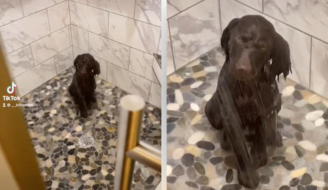 La joven mostró en otro clip cómo su mascota se divertía bajo el agua. Video: captura de TikTok