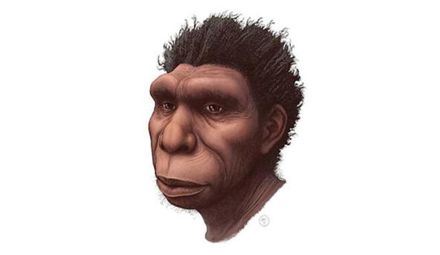 El homo bodoensis vivió en África hace medio millón de años y fue el antepasado directo de los homo sapiens, la especie humana moderna. Foto: EFE