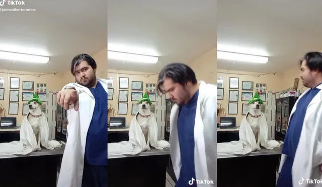 Mientras que el dueño de la mascota se divertía grabando sus pasos de baile, el perrito se mostraba confundido ante lo que observaba. Foto: captura de TikTok