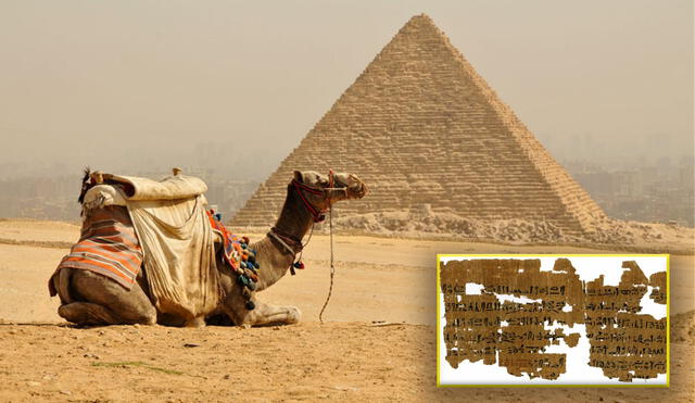 Varios fragmentos de un papiro egipcio aún se encuentran sin traducir. Se trata de un libro con saberes milenarios de medicina incipiente. Foto: National Geographic/Universidad de Copenhague