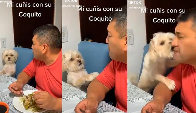 El perrito engañó a su dueño cuando movía su cola ante sus tiernas palabras. El inesperado final que protagonizó hizo reír a los cibernautas. Foto: captura de TikTok