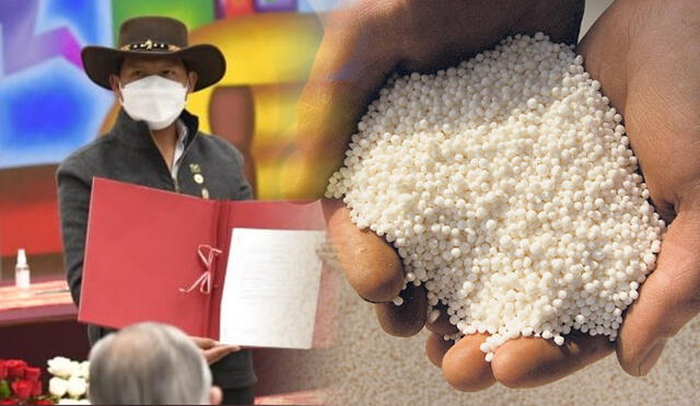 La reforma agraria impulsada por el presidente Pedro Castillo también plantea el intercambio de experiencias con otros países de la región para la producción local de fertilizantes sintéticos. Foto: Presidencia del Perú