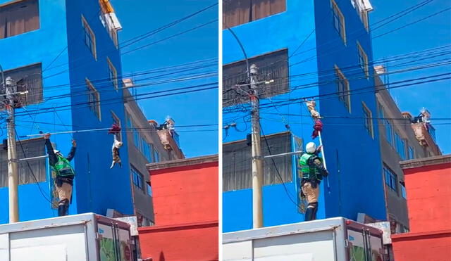 Tras caer sano y salvo, el gatito callejero salto rápidamente hacia el suelo y se fue corriendo asustado. Foto: captura de TikTok