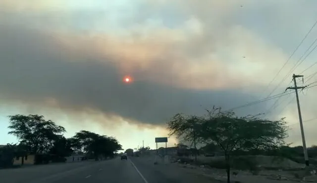 Incendio provocó intensa humareda que se propagó por distritos de La Huaca, Viviate y Montelima. Foto: Cutivalú