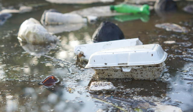 Fuerza Popular presentó un proyecto de ley para retrasar hasta el 2023 prohibición de envases de tecnopor. Foto: difusión