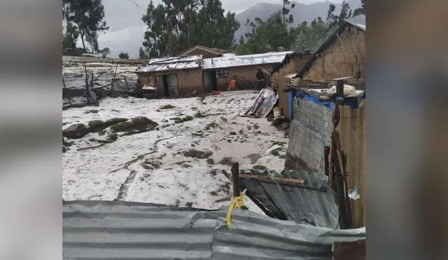 La mayoría de viviendas están construidas de material rústico. Foto: COER Áncash