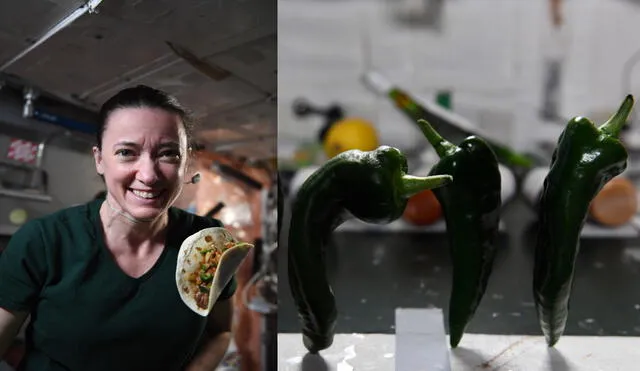 La astronauta Megan McArthur y los chiles cultivados en la EEI. Foto: Twitter / Megan McArthur / NASA