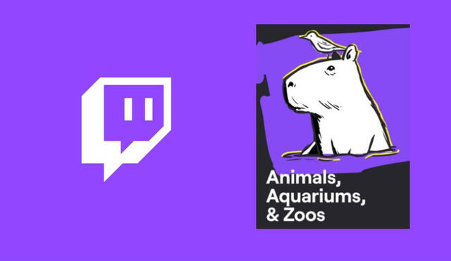 Los usuarios podrán interactuar con las mascotas, peluditos y animales en general con las nuevas mecánicas de Twitch que pueden cambiar música, ajustar luces de un acuario, etc. Foto: Twitch