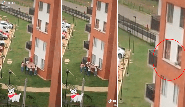 El astuto perrito decidió meterse por una ventana salvando de esta manera su vida. Foto: captura de TikTok