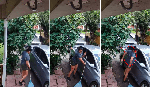 El animal aprovechó que el árbol estaba cerca de la mujer para treparse en su espalda. Foto: captura de TikTok