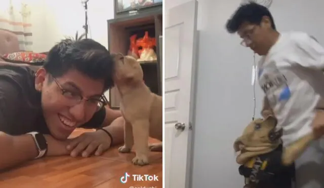 Una gran cantidad de cibernautas quedó fascinada con el increíble cambio del perrito desde que fue un bebé hasta hoy que ya es un perro adulto. Foto: captura de TikTok