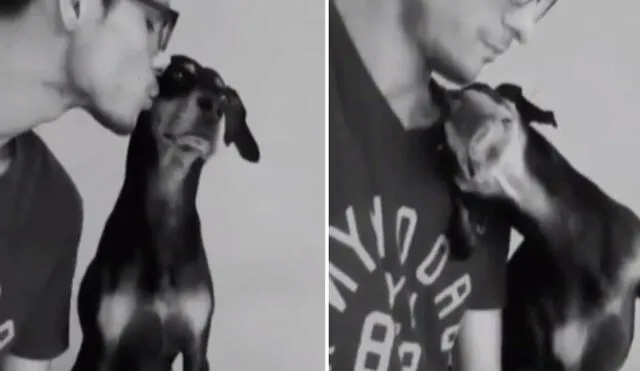 El can se acurrucó sobre el pecho de su amo en respuesta al beso que recibió y juntos protagonizaron una emotiva escena. Foto: captura de TikTok