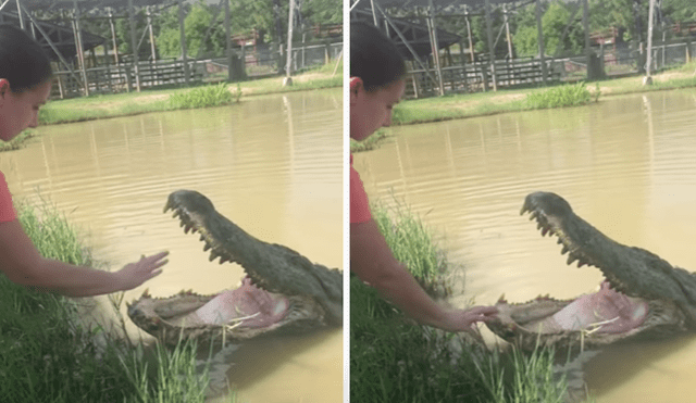 El video viral ha sido compartido en el canal Jessica Adkins. Foto: captura de YouTube