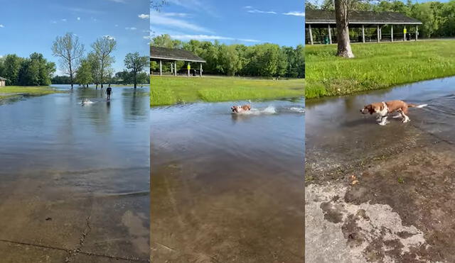 El pequeño protagonista de este clip reside en la ciudad de Grafton, Illinois, USA. Foto: captura de YouTube