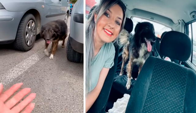 Una joven esperaba a su pareja en el interior de su vehículo cuando fue sorprendida por un perrito que había sido abandonado por sus dueños. Foto: captura de YouTube