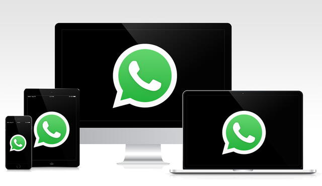 Esta beta de WhatsApp está disponible en iOS y Android. Foto: Xataka