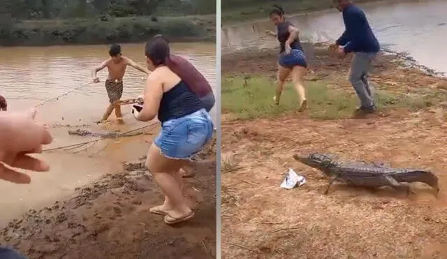 La usuaria que grabó el hecho gritó y se alejó despavorida del lugar al ver al reptil. Foto: captura de TikTok