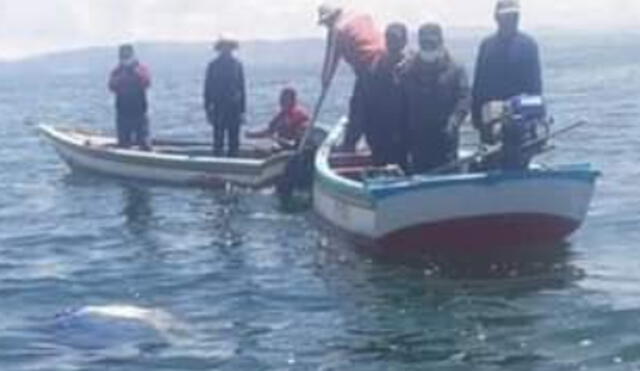 Continúan las labores de búsqueda en el Lago Titicaca. Foto: difusión