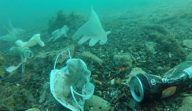 Los guantes y las mascarillas anti-COVID-19 abundan en los océanos del mundo a partir de la pandemia. Foto: WWF