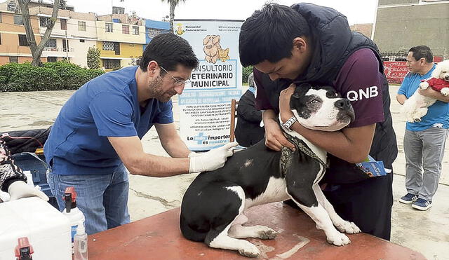 Turno de las mascotas. El VanCan en los distritos de Lima centro va hasta este domingo. Foto: difusión