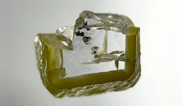 Las pequeñas manchas dentro del diamante son las primeras muestras de davemaoita, un mineral único en el manto interior. Foto: Aaron Celestian / Natural History Museum of Los Angeles County