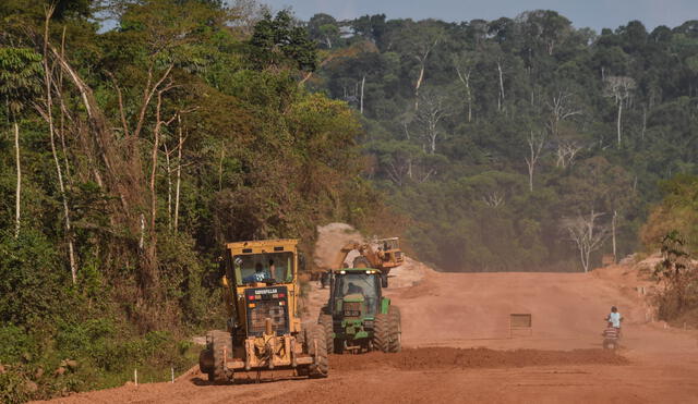 La Amazonía perdió un área equivalente a Chile en 36 años. Foto: AFP