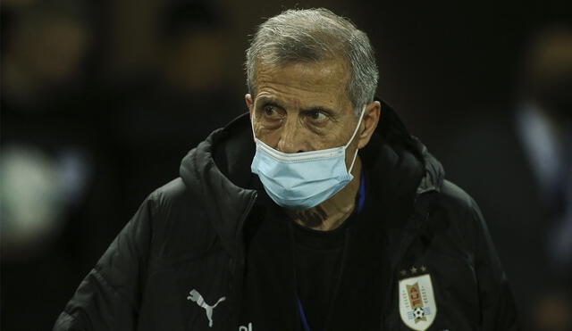 Óscar Washington Tabárez disputa sus últimas eliminatorias al mando de Uruguay. Foto: AFP