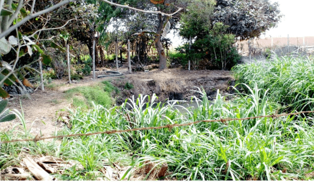 El ente de control detectó que  Epsel verte aguas residuales en el Dren 3100. Foto: La República