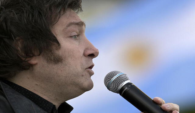Javier Milei es uno de los nuevos diputados electos en la Argentina luego de los sufragios legislativos del domingo. Foto: AFP