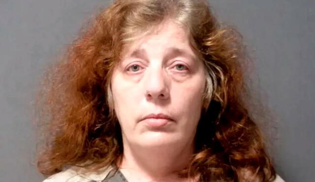 Wendy Lynn Wein, de 52 años, se declaró culpable de haber buscado un sicario para que acabara con la vida de su exesposo. Foto: Policía de Michigan