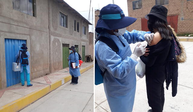 Brigadas acudirán casa por casa para colocar primeras y segundas dosis. Foto: Red de Salud Carabaya
