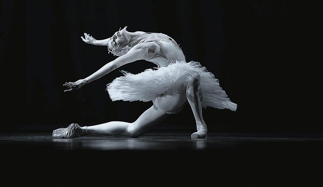 Belleza. A modo referencial del arte del ballet ruso, un pasaje de La muerte del cisne. Foto: difusión