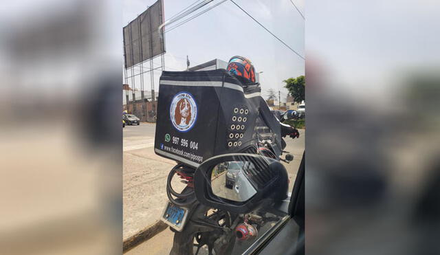 Motorizado trasladó a mascota en medio de un intenso calor. Foto: Whatsapp LR