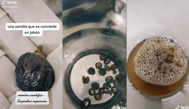 En otros clips, la usuaria compartió cómo es la elaboración del jabón líquido a base de 'choloque'. Foto: captura de TikTok