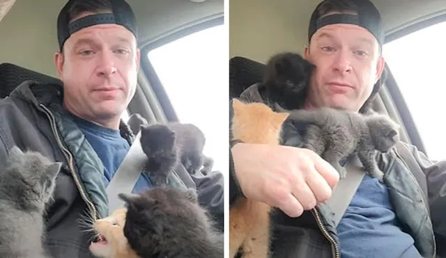 Un hombre se enteró que unos pequeños felinos perdieron a su madre y les ofreció su ayuda al trasladarlos a un lugar seguro. Foto: captura de Facebook
