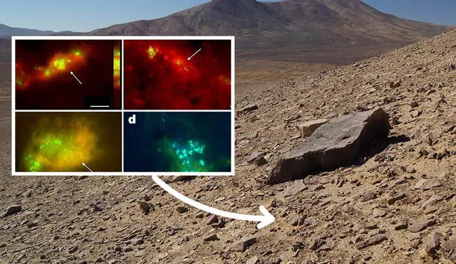 Un estudio de Nature Scientific Reports sostuvo que las muestras microbianas en el desierto de Atacama (Chile) serían parecidas a las que se encontrarían en Marte. Foto: referencial / NASA / JPL-Caltech / Azúa-Bustos, A. Fairén, A.G. Silva et al.