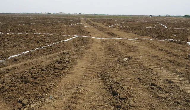 Huaca Bobadilla estará protegida provisionalmente por dos años. Foto: Proyecto Inmobiliario Villa Bobadilla/Facebook.