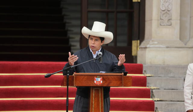 Presidente Pedro Castillo promulga ley que amplía bachillerato automático hasta el 2023. Foto: John Reyes