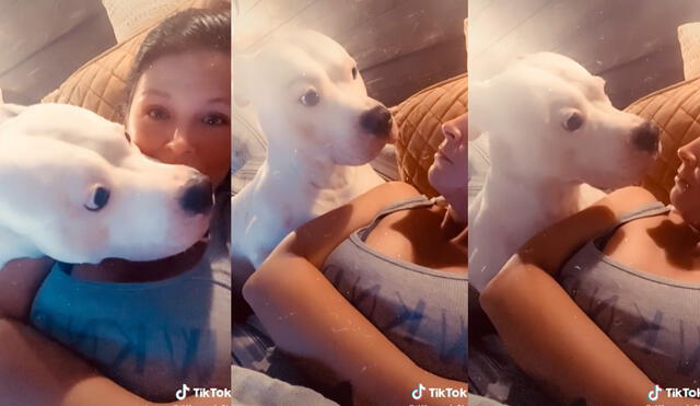 El perro no dejó de vigilar a su dueña mientras buscaba quién había ladrado. Foto: captura de TikTok