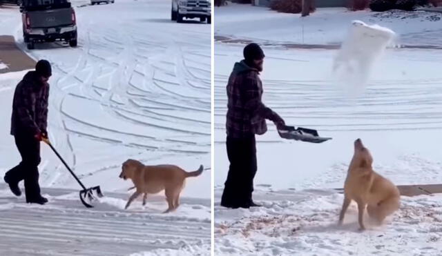 Un perrito acompañó a su dueño a limpiar la entrada de su hogar que estaba cubierto de nieve; sin embargo, no pudo ocultar su alegría al tocarlo por primera vez. Foto: captura de Facebook