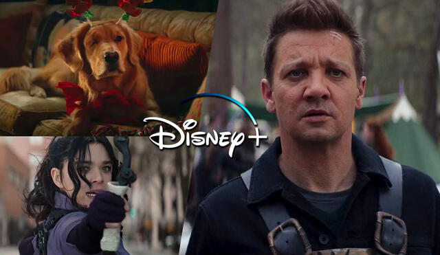 Hawkeye es la quinta serie de Marvel Studios para Disney+. Foto: Disney Plus