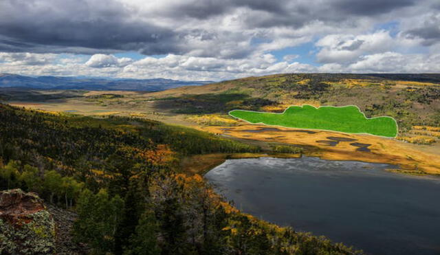 Pando sombreado de verde con Fish Lake en primer plano. Foto: Lance Oditt / Friends of Pando