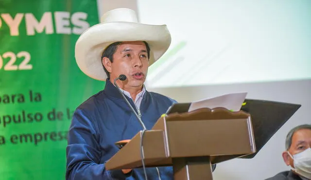 Pedro Castillo participó el último miércoles en el Seminario Perú MIPYMES 2021-2022. Foto: Presidencia