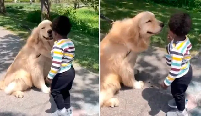 Un perro se portó de manera amigable y cariñosa con un pequeño, luego de que los dos coincidieron en el mismo lugar. Foto: captura de Facebook